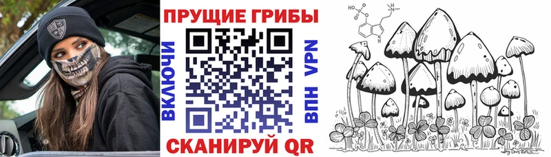 Псилоцибиновые грибы Psilocybe  kraken как зайти  Борисоглебск  дарнет шоп 